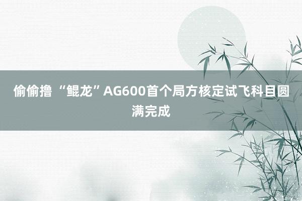 偷偷撸 “鲲龙”AG600首个局方核定试飞科目圆满完成