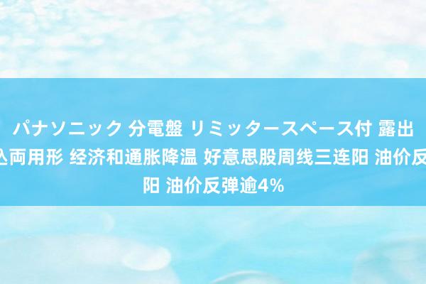 パナソニック 分電盤 リミッタースペース付 露出・半埋込両用形 经济和通胀降温 好意思股周线三连阳 油价反弹逾4%