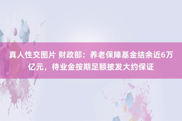 真人性交图片 财政部：养老保障基金结余近6万亿元，待业金按期足额披发大约保证