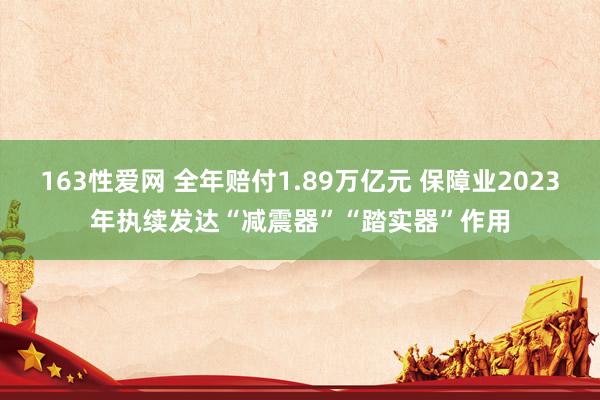 163性爱网 全年赔付1.89万亿元 保障业2023年执续发达“减震器”“踏实器”作用