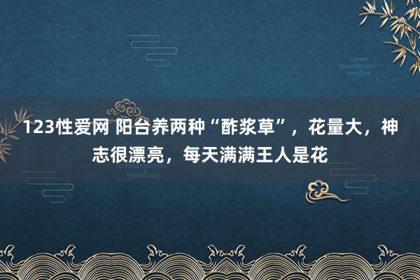 123性爱网 阳台养两种“酢浆草”，花量大，神志很漂亮，每天满满王人是花