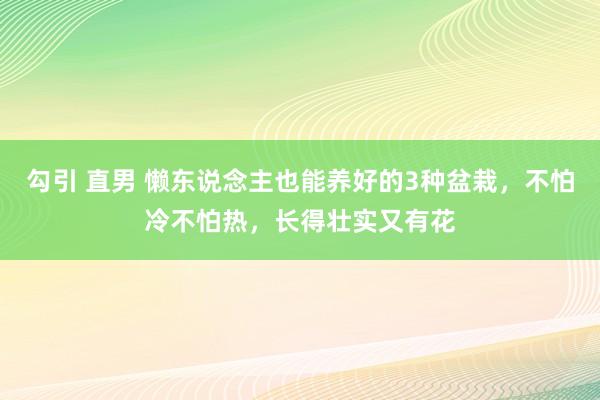 勾引 直男 懒东说念主也能养好的3种盆栽，不怕冷不怕热，长得壮实又有花