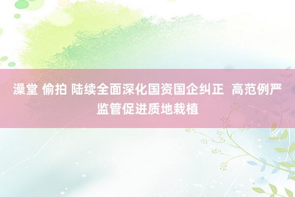 澡堂 偷拍 陆续全面深化国资国企纠正  高范例严监管促进质地栽植