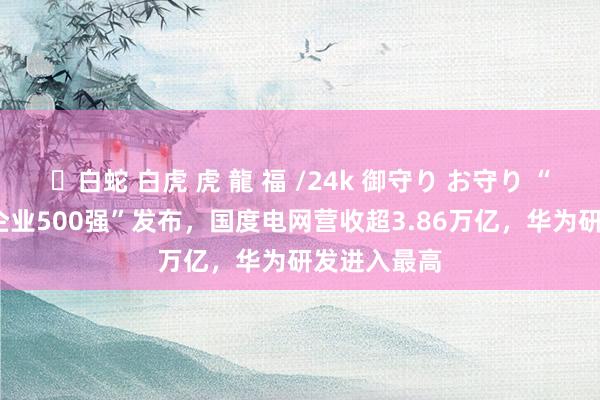 ✨白蛇 白虎 虎 龍 福 /24k 御守り お守り “2024中国企业500强”发布，国度电网营收超3.86万亿，华为研发进入最高