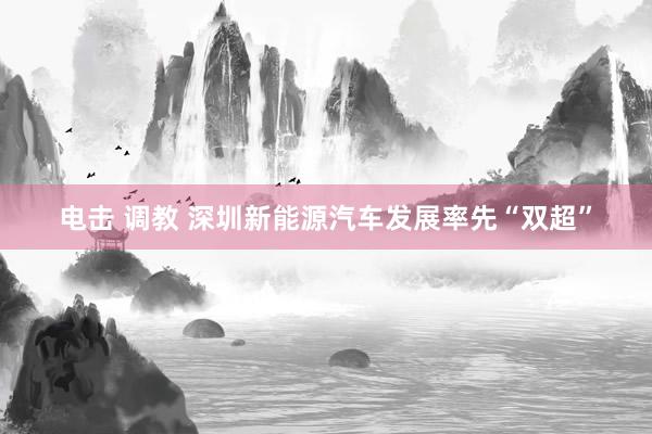 电击 调教 深圳新能源汽车发展率先“双超”