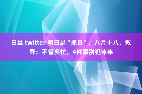 白丝 twitter 明日是“抓日”，八月十八，教导：不管多忙，4件事别犯讳讳