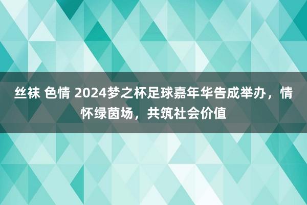 丝袜 色情 2024梦之杯足球嘉年华告成举办，情怀绿茵场，共筑社会价值