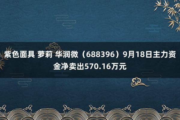 紫色面具 萝莉 华润微（688396）9月18日主力资金净卖出570.16万元