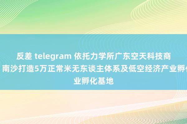 反差 telegram 依托力学所广东空天科技商榷院，南沙打造5万正常米无东谈主体系及低空经济产业孵化基地