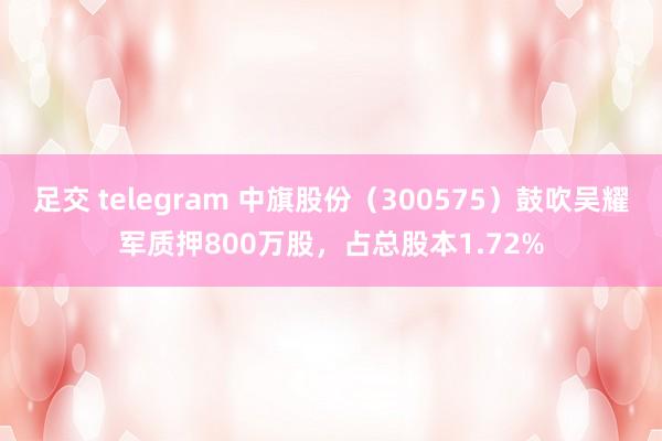 足交 telegram 中旗股份（300575）鼓吹吴耀军质押800万股，占总股本1.72%