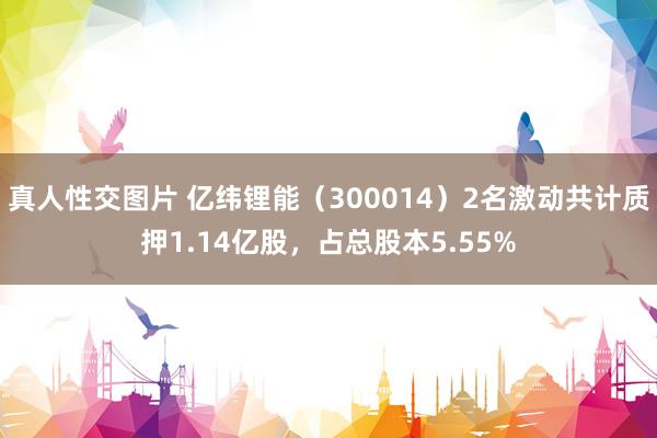 真人性交图片 亿纬锂能（300014）2名激动共计质押1.14亿股，占总股本5.55%