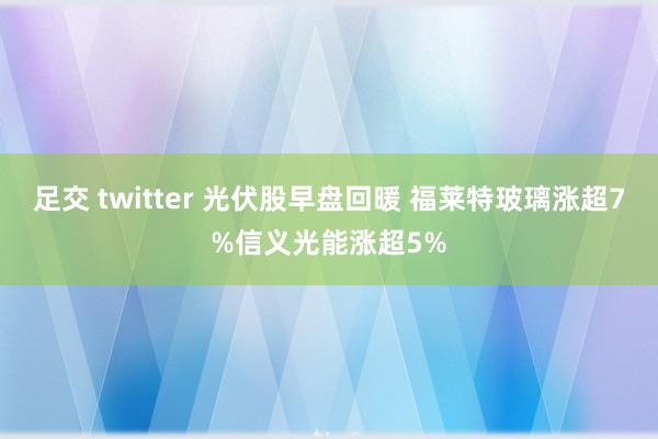 足交 twitter 光伏股早盘回暖 福莱特玻璃涨超7%信义光能涨超5%