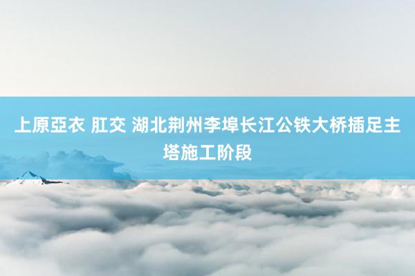 上原亞衣 肛交 湖北荆州李埠长江公铁大桥插足主塔施工阶段