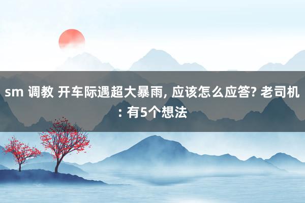 sm 调教 开车际遇超大暴雨， 应该怎么应答? 老司机: 有5个想法