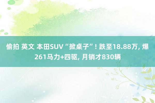 偷拍 英文 本田SUV“掀桌子”! 跌至18.88万， 爆261马力+四驱， 月销才830辆