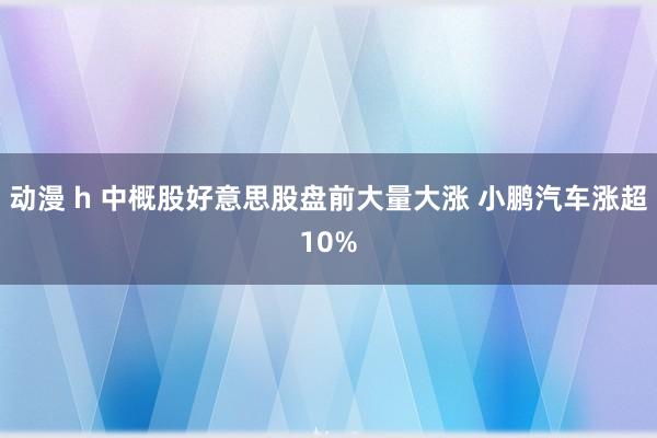 动漫 h 中概股好意思股盘前大量大涨 小鹏汽车涨超10%