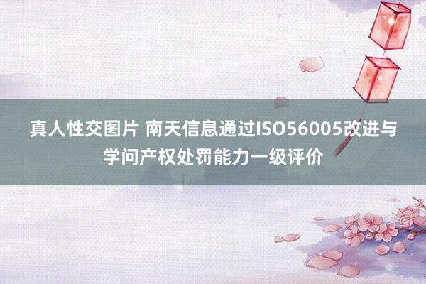 真人性交图片 南天信息通过ISO56005改进与学问产权处罚能力一级评价