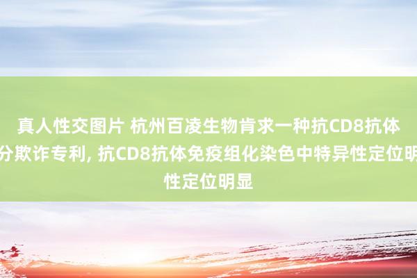 真人性交图片 杭州百凌生物肯求一种抗CD8抗体十分欺诈专利， 抗CD8抗体免疫组化染色中特异性定位明显