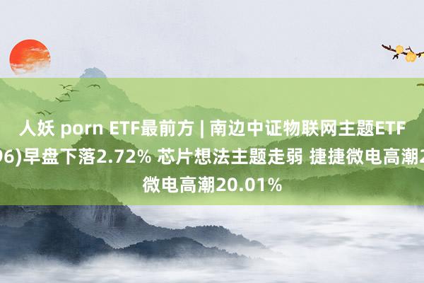 人妖 porn ETF最前方 | 南边中证物联网主题ETF(159896)早盘下落2.72% 芯片想法主题走弱 捷捷微电高潮20.01%