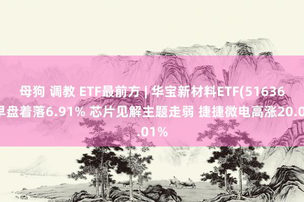 母狗 调教 ETF最前方 | 华宝新材料ETF(516360)早盘着落6.91% 芯片见解主题走弱 捷捷微电高涨20.01%