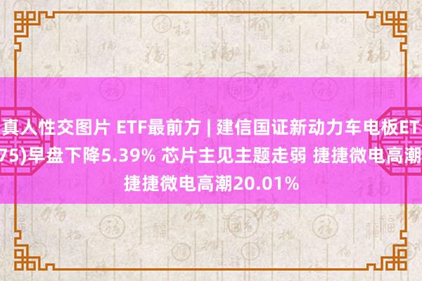 真人性交图片 ETF最前方 | 建信国证新动力车电板ETF(159775)早盘下降5.39% 芯片主见主题走弱 捷捷微电高潮20.01%