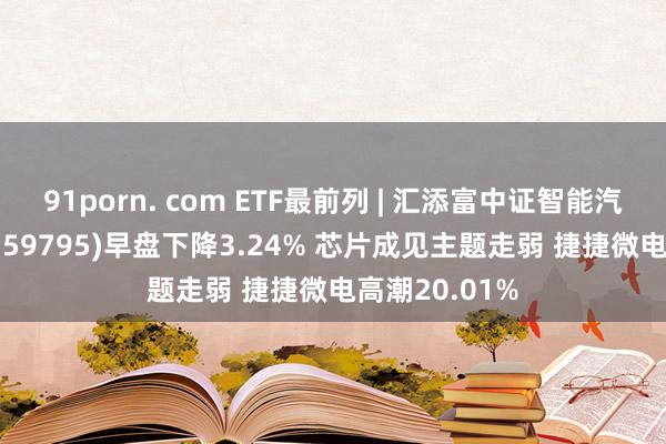 91porn. com ETF最前列 | 汇添富中证智能汽车主题ETF(159795)早盘下降3.24% 芯片成见主题走弱 捷捷微电高潮20.01%