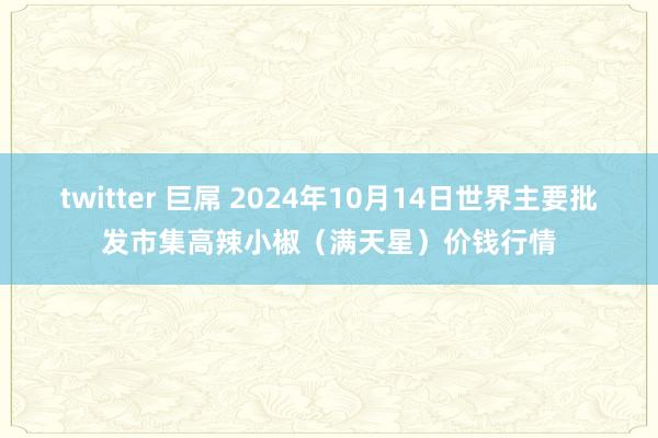 twitter 巨屌 2024年10月14日世界主要批发市集高辣小椒（满天星）价钱行情