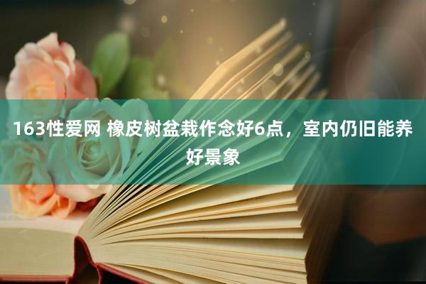 163性爱网 橡皮树盆栽作念好6点，室内仍旧能养好景象