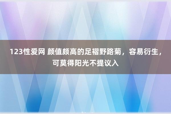 123性爱网 颜值颇高的足褶野路菊，容易衍生，可莫得阳光不提议入