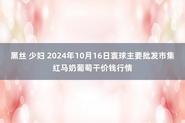 黑丝 少妇 2024年10月16日寰球主要批发市集红马奶葡萄干价钱行情