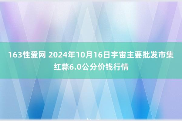 163性爱网 2024年10月16日宇宙主要批发市集红蒜6.0公分价钱行情