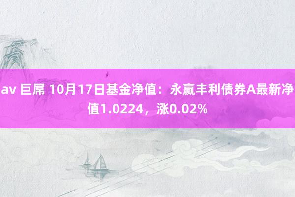 av 巨屌 10月17日基金净值：永赢丰利债券A最新净值1.0224，涨0.02%