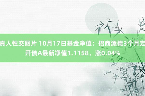 真人性交图片 10月17日基金净值：招商添德3个月定开债A最新净值1.1158，涨0.04%