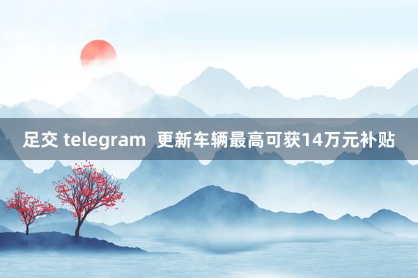 足交 telegram  更新车辆最高可获14万元补贴