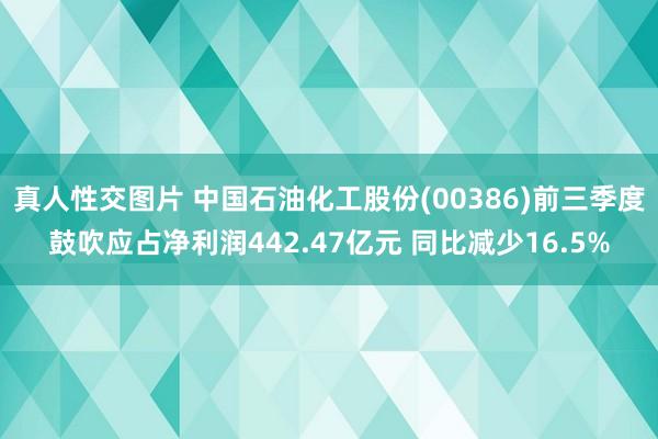 真人性交图片 中国石油化工股份(00386)前三季度鼓吹应占净利润442.47亿元 同比减少16.5%