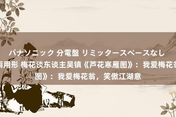 パナソニック 分電盤 リミッタースペースなし 露出・半埋込両用形 梅花谈东谈主吴镇《芦花寒雁图》：我爱梅花翁，笑傲江湖意