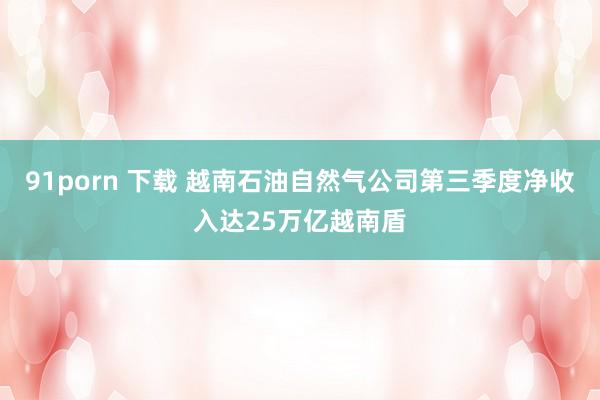 91porn 下载 越南石油自然气公司第三季度净收入达25万亿越南盾