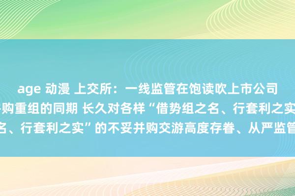 age 动漫 上交所：一线监管在饱读吹上市公司次第、有用延伸高质料并购重组的同期 长久对各样“借势组之名、行套利之实”的不妥并购交游高度存眷、从严监管的赫然导向