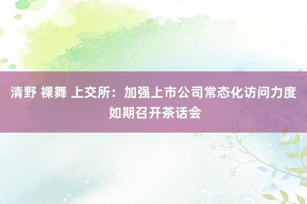 清野 裸舞 上交所：加强上市公司常态化访问力度 如期召开茶话会