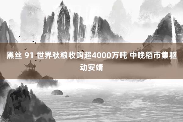 黑丝 91 世界秋粮收购超4000万吨 中晚稻市集驱动安靖