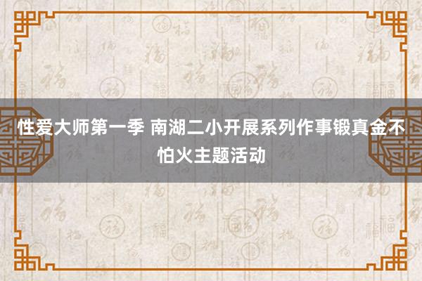 性爱大师第一季 南湖二小开展系列作事锻真金不怕火主题活动