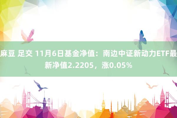 麻豆 足交 11月6日基金净值：南边中证新动力ETF最新净值2.2205，涨0.05%