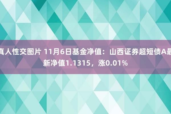 真人性交图片 11月6日基金净值：山西证券超短债A最新净值1.1315，涨0.01%