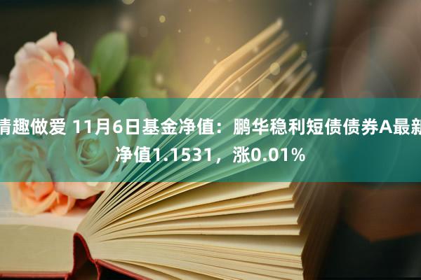 情趣做爱 11月6日基金净值：鹏华稳利短债债券A最新净值1.1531，涨0.01%