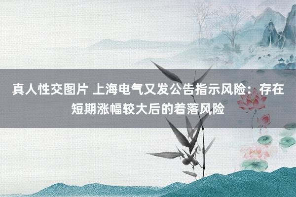 真人性交图片 上海电气又发公告指示风险：存在短期涨幅较大后的着落风险