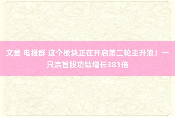 文爱 电报群 这个板块正在开启第二轮主升浪！一只宗旨股功绩增长381倍