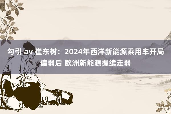 勾引 av 崔东树：2024年西洋新能源乘用车开局偏弱后 欧洲新能源握续走弱