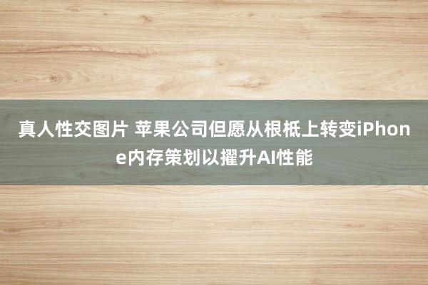 真人性交图片 苹果公司但愿从根柢上转变iPhone内存策划以擢升AI性能