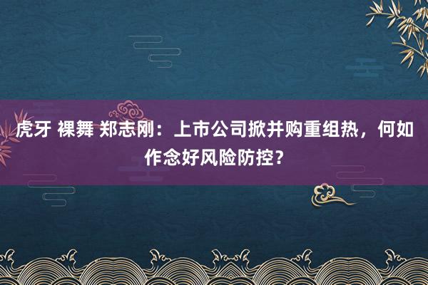 虎牙 裸舞 郑志刚：上市公司掀并购重组热，何如作念好风险防控？