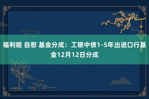 福利姬 自慰 基金分成：工银中债1-5年出进口行基金12月12日分成